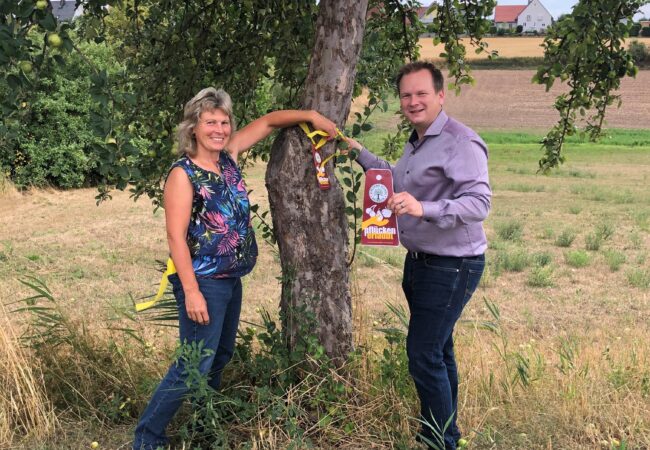 Barbara Dahinten vom LPV und Christian Porsch legen ein gelebes Band an einem Baum an